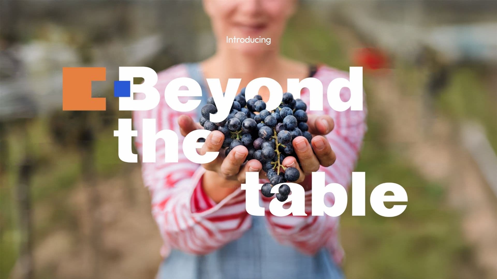 Beyond the Table — Banco Alimentare corporate certification movement